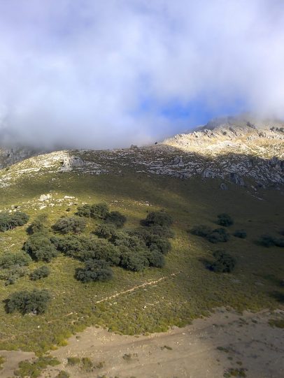 201024100538_00 201024100538_00