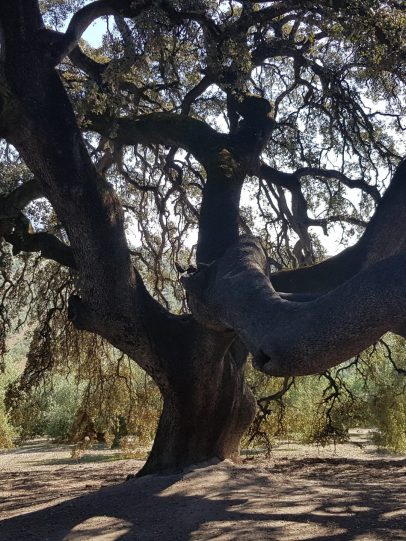 20201120_125605 20201120_125605