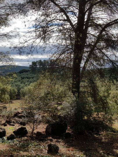 20201129_123948 20201129_123948