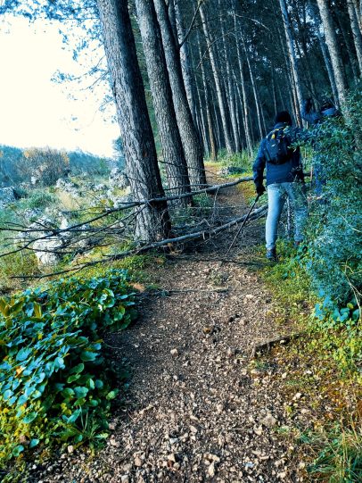 20201226_092302_08 20201226_092302_08