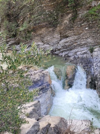 20210213_095609 20210213_095609