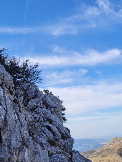 20210220_104223 20210220_104223